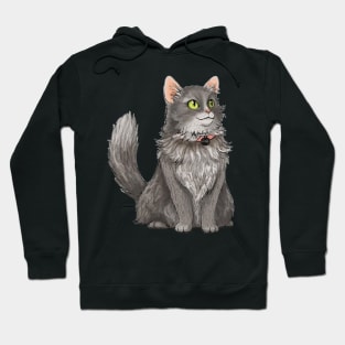 Fluffy Grey Cat Pet Portrait Hoodie